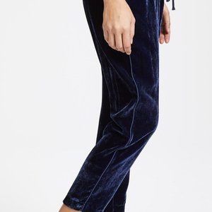 Xirena Dash Velvet Pant